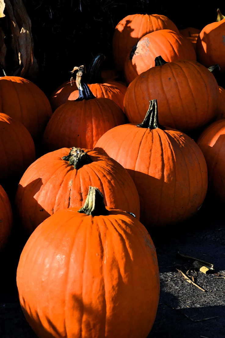 Pumpkins