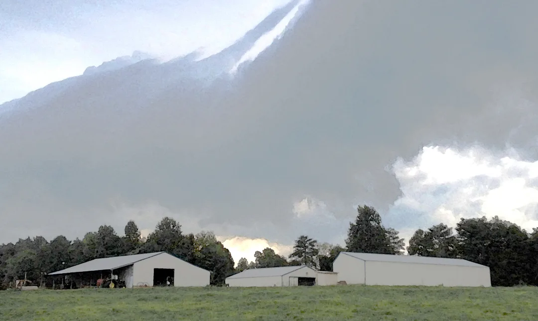 Rachels Farm 2