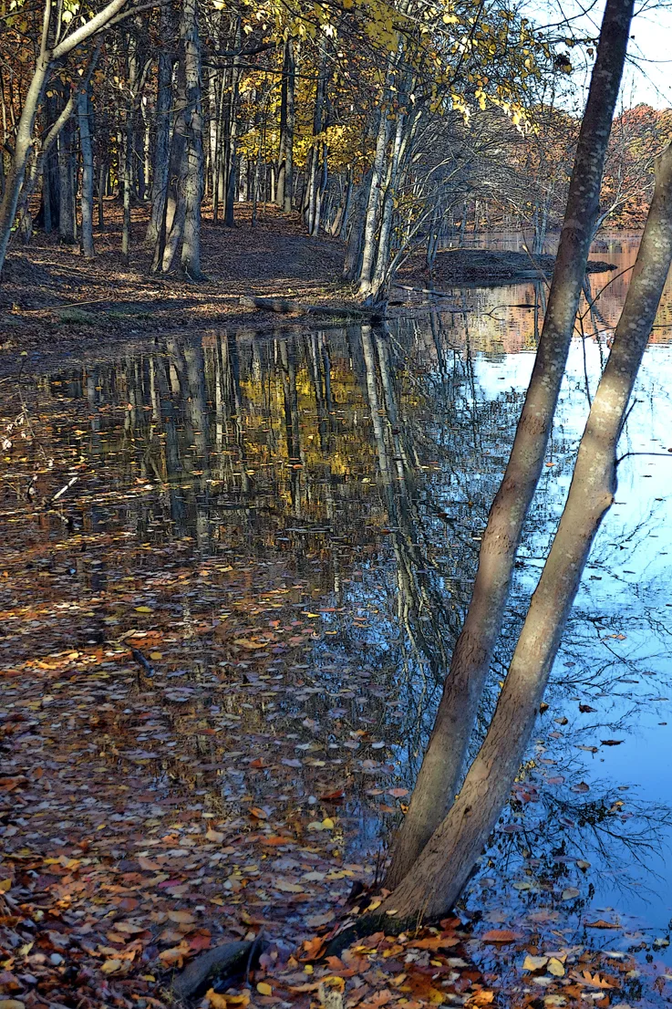 Landis Lake