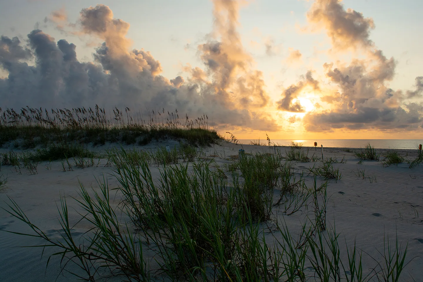 Sunrisehbsp 46