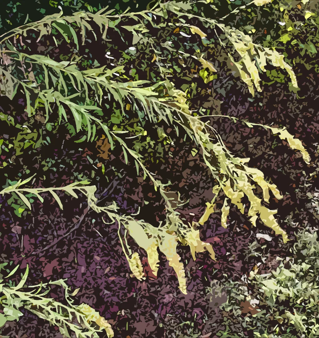 Golden Rod Cutout-7