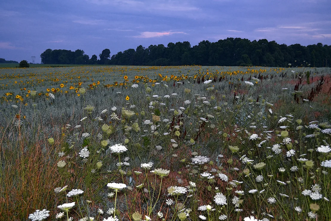 Hoffner Farm 26