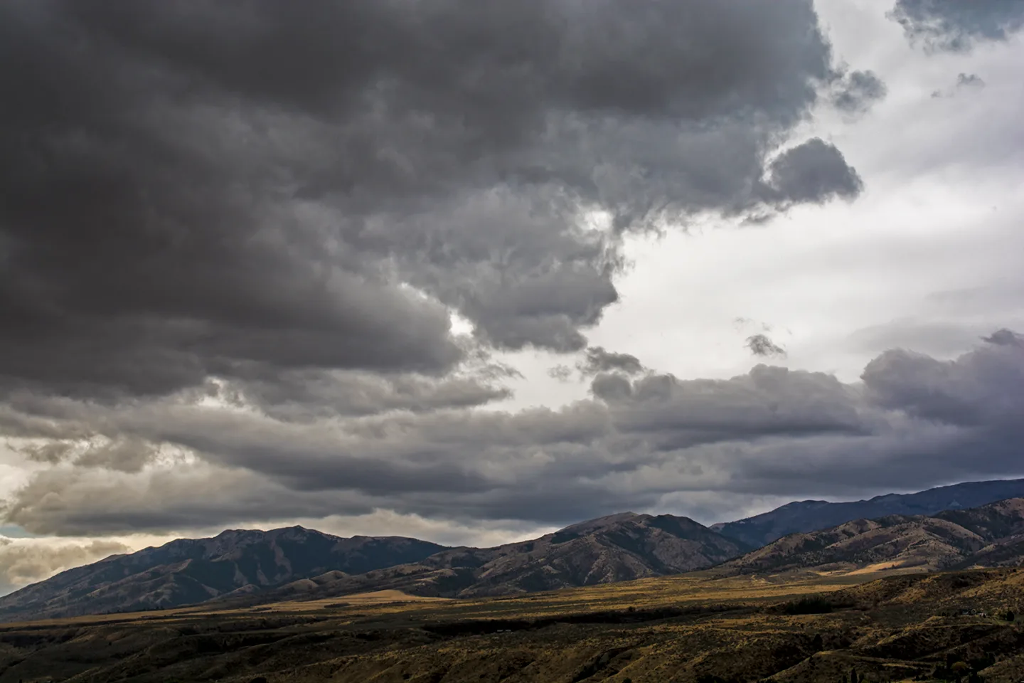 Idaho 5