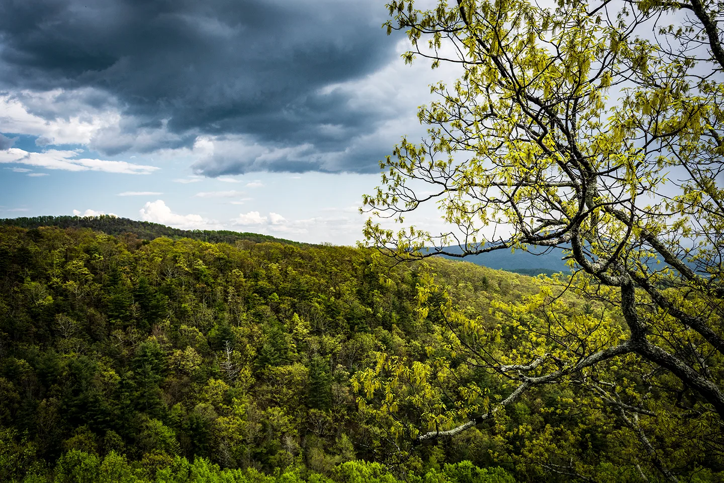 Blue Ridge 6