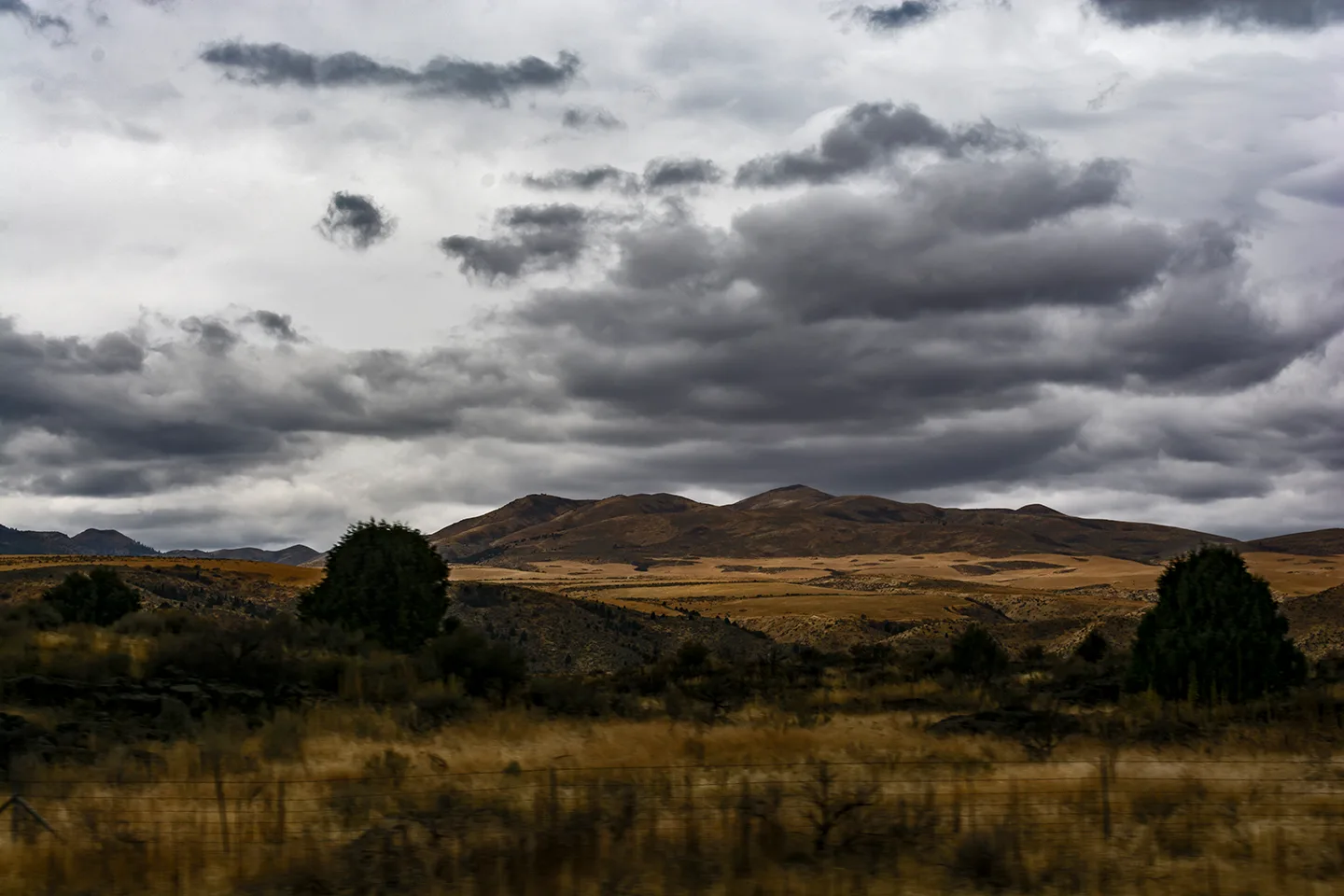 Idaho 1