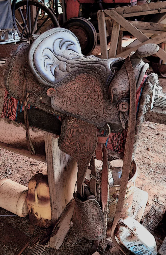 Saddle