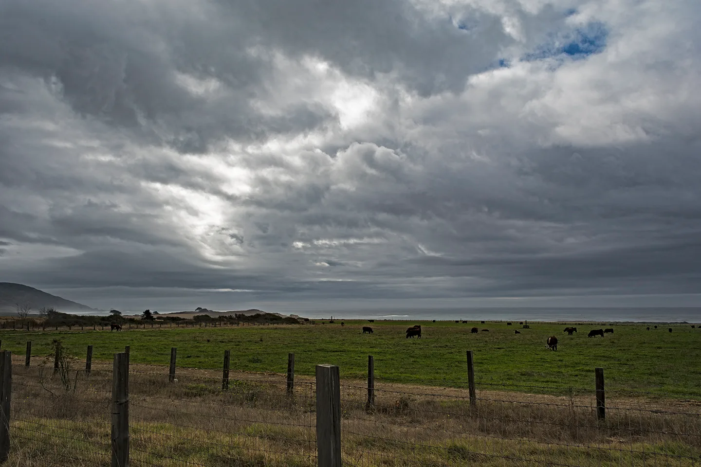 Pacifichighway 1
