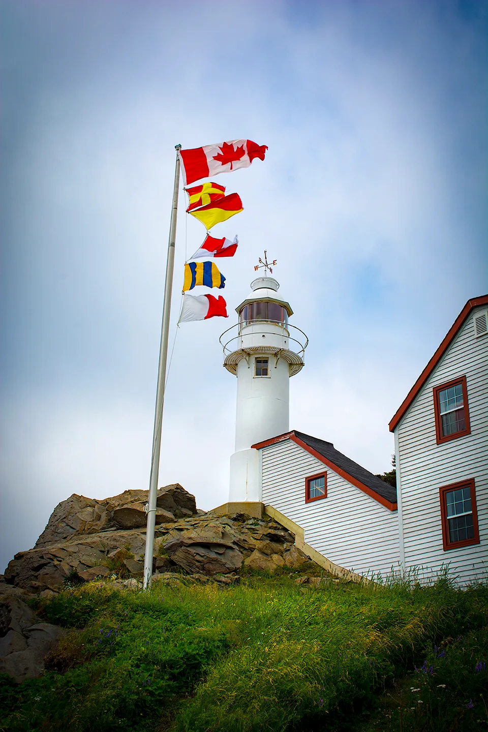 Rockyharbor 4
