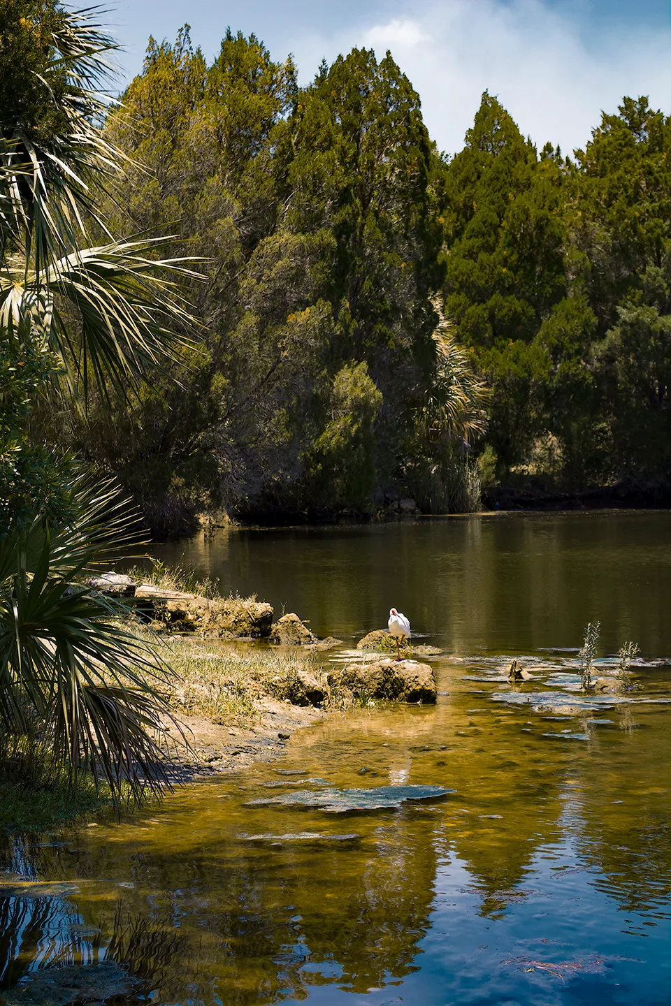 Crystalriver 2