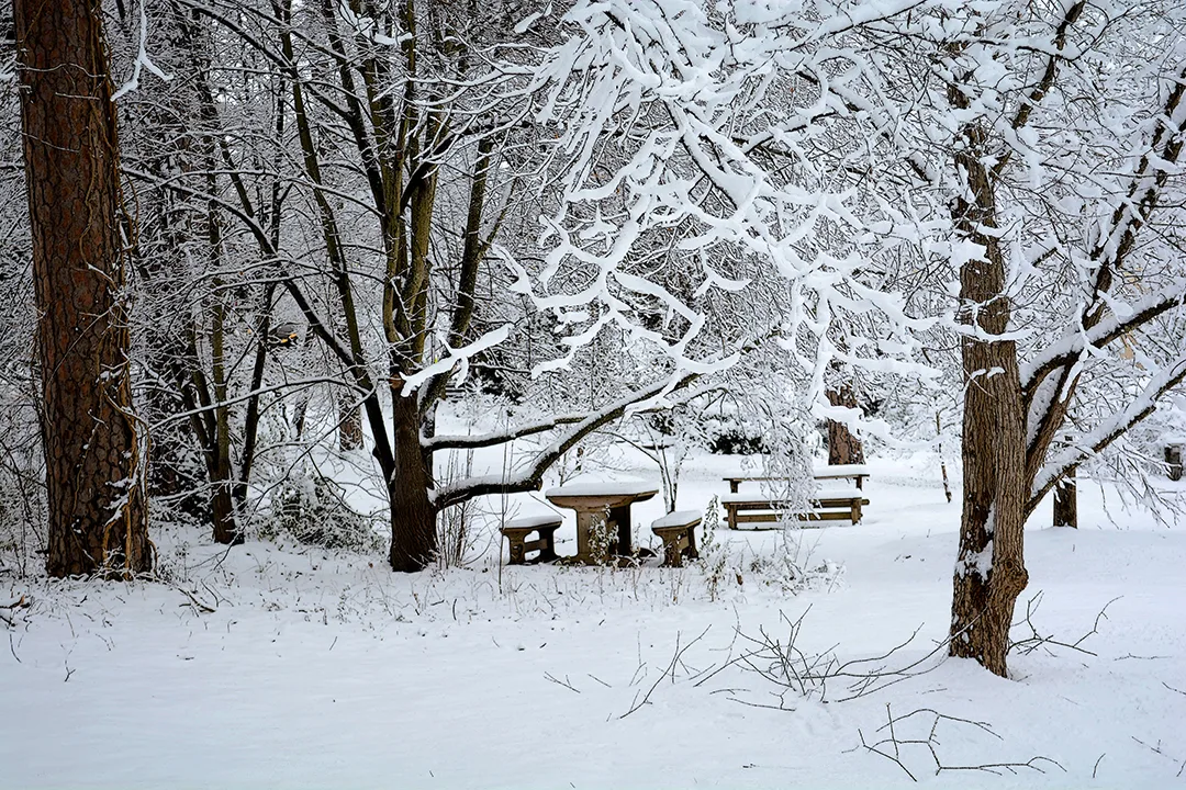 Hurley Snow 2015