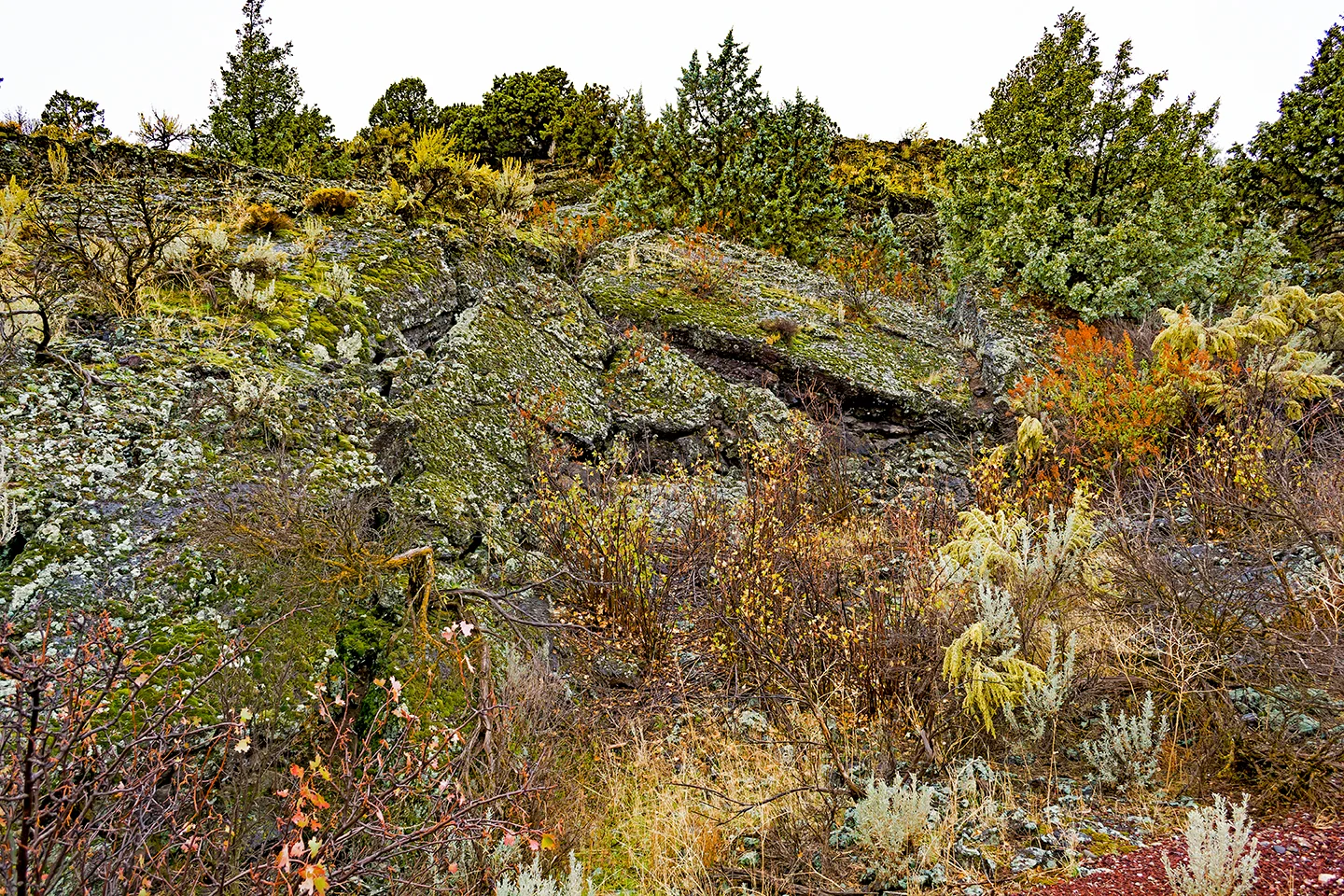 Idaholavafield 1