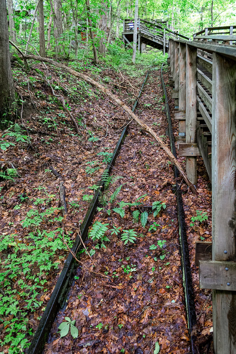 Kaymoor 10