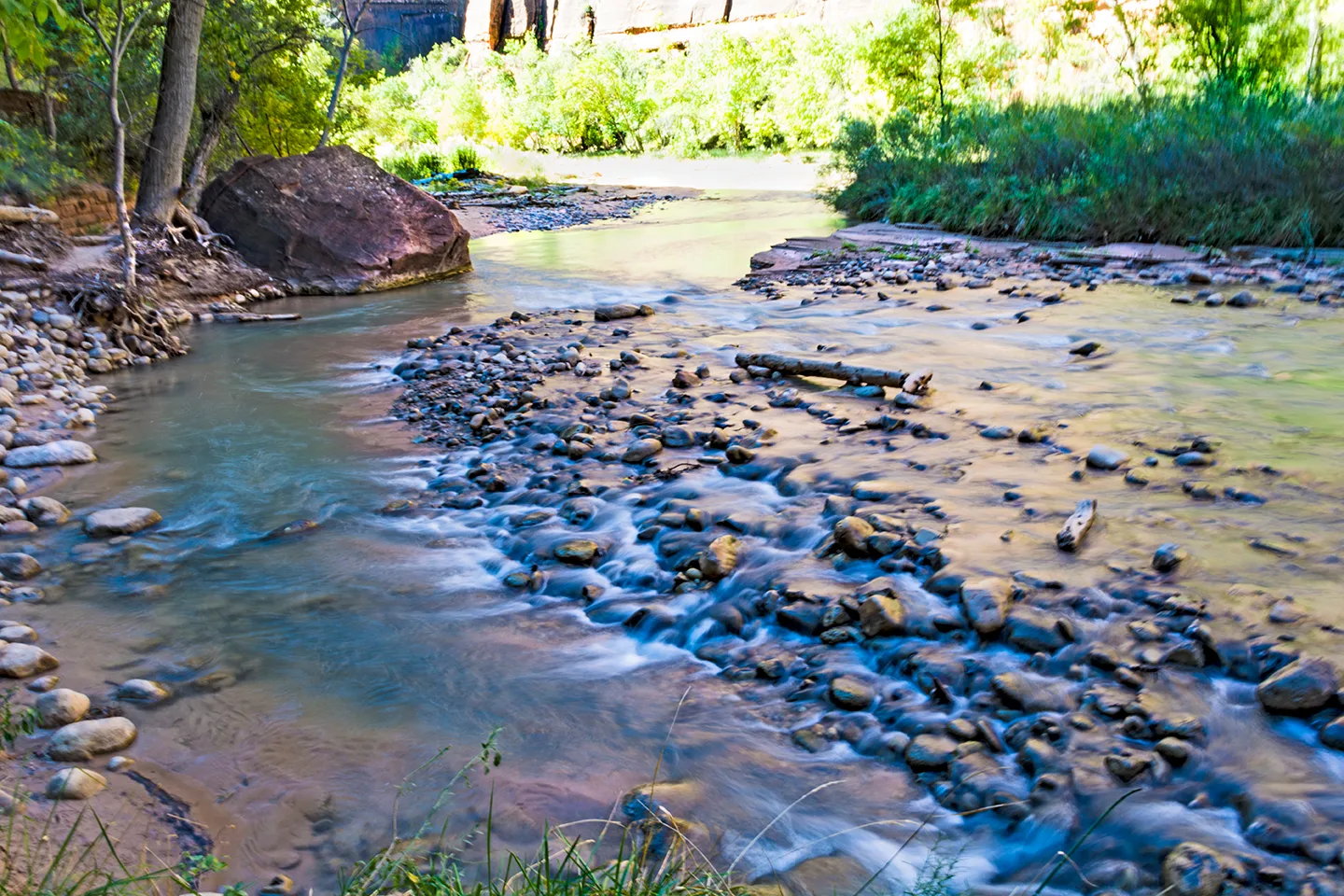 Zion 36