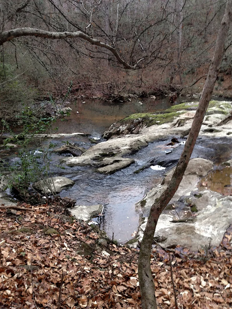 Uwharrie 1