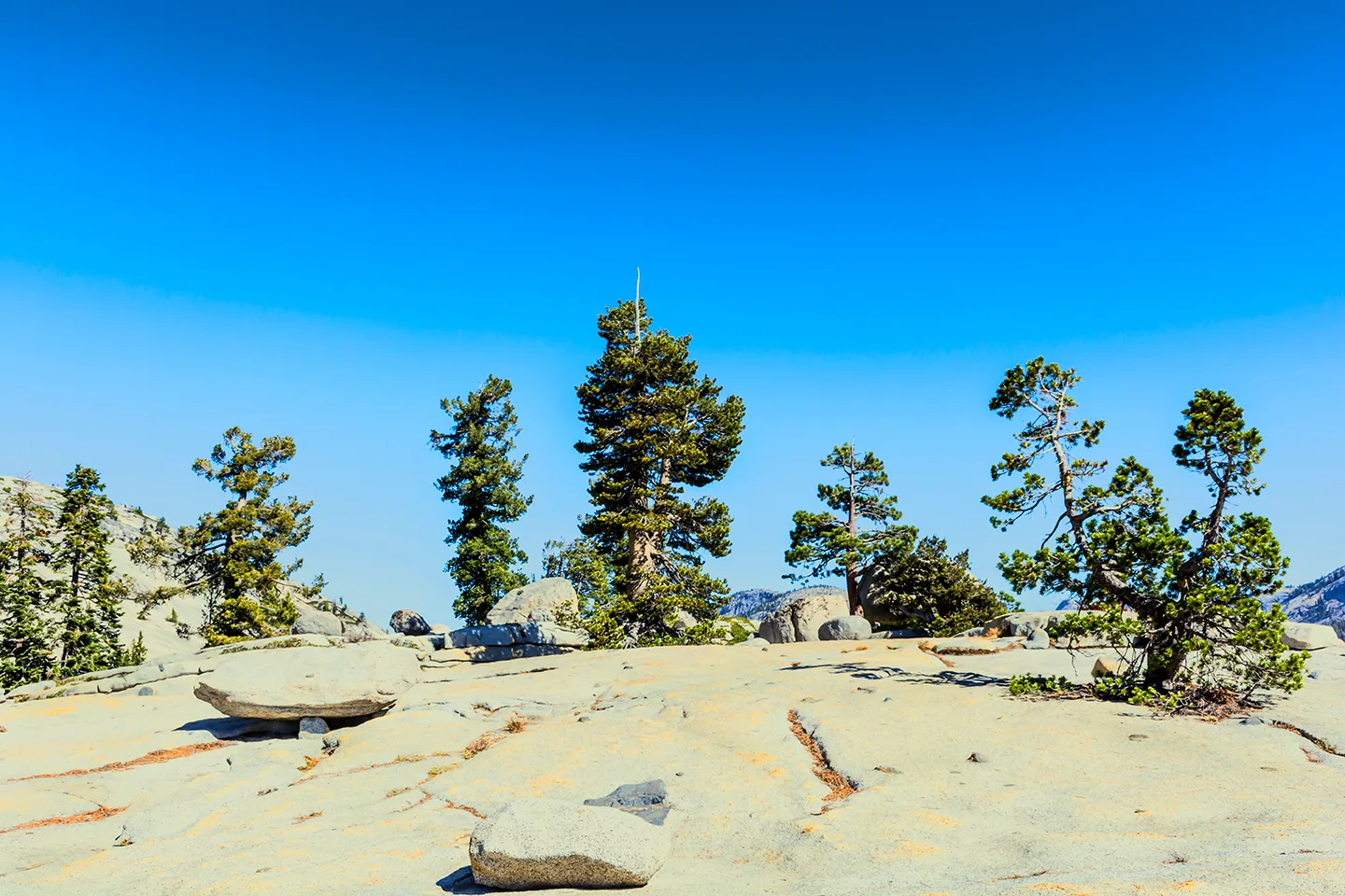 Yosemite 39