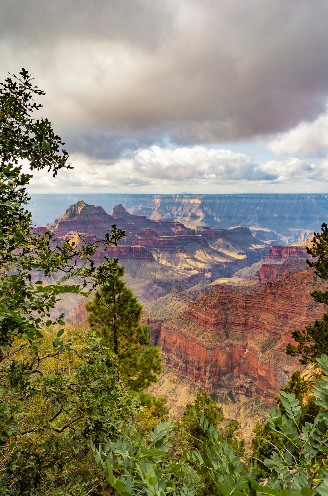 Northrim 35