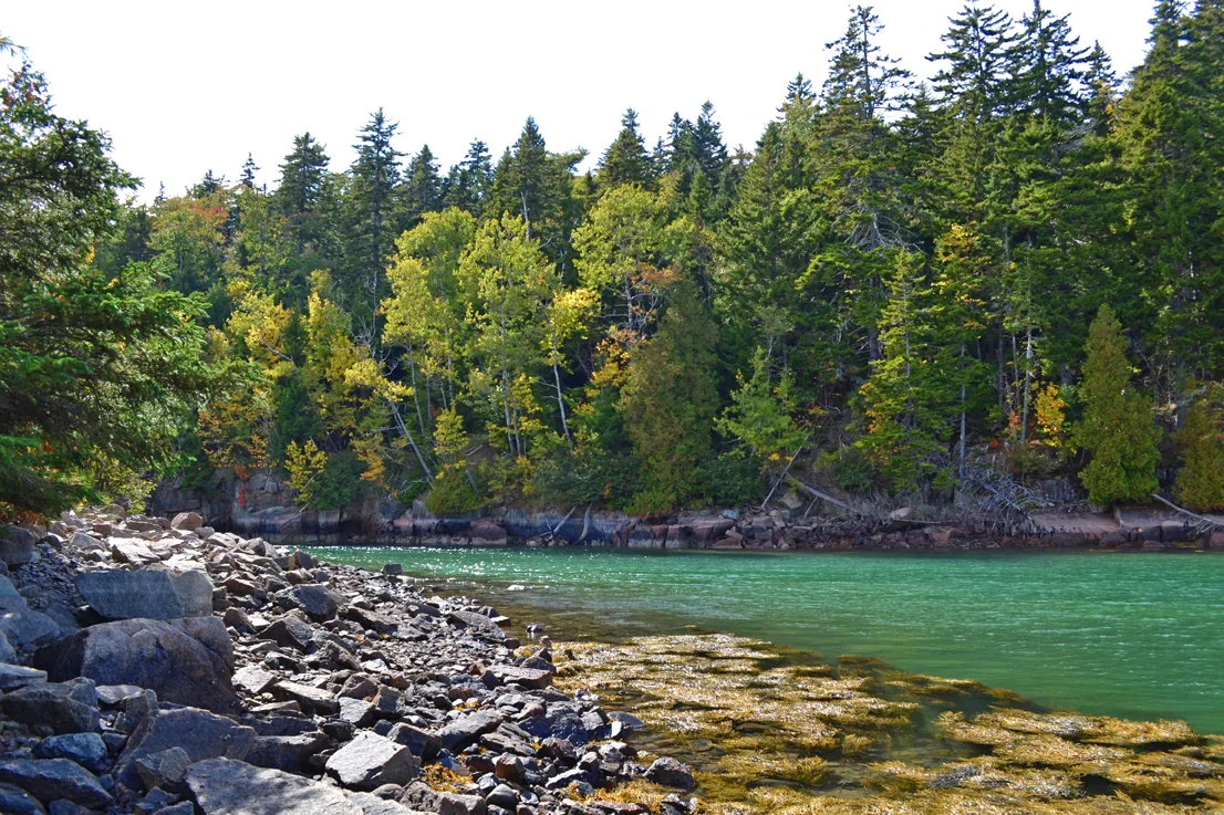 Acadia Pond 1