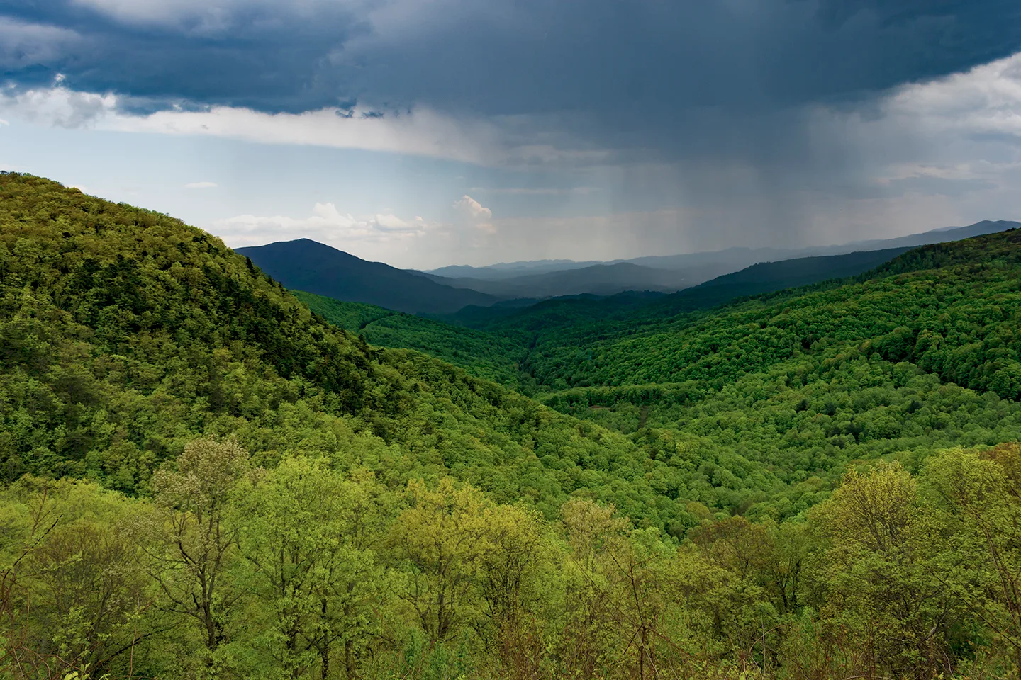 Blue Ridge 1