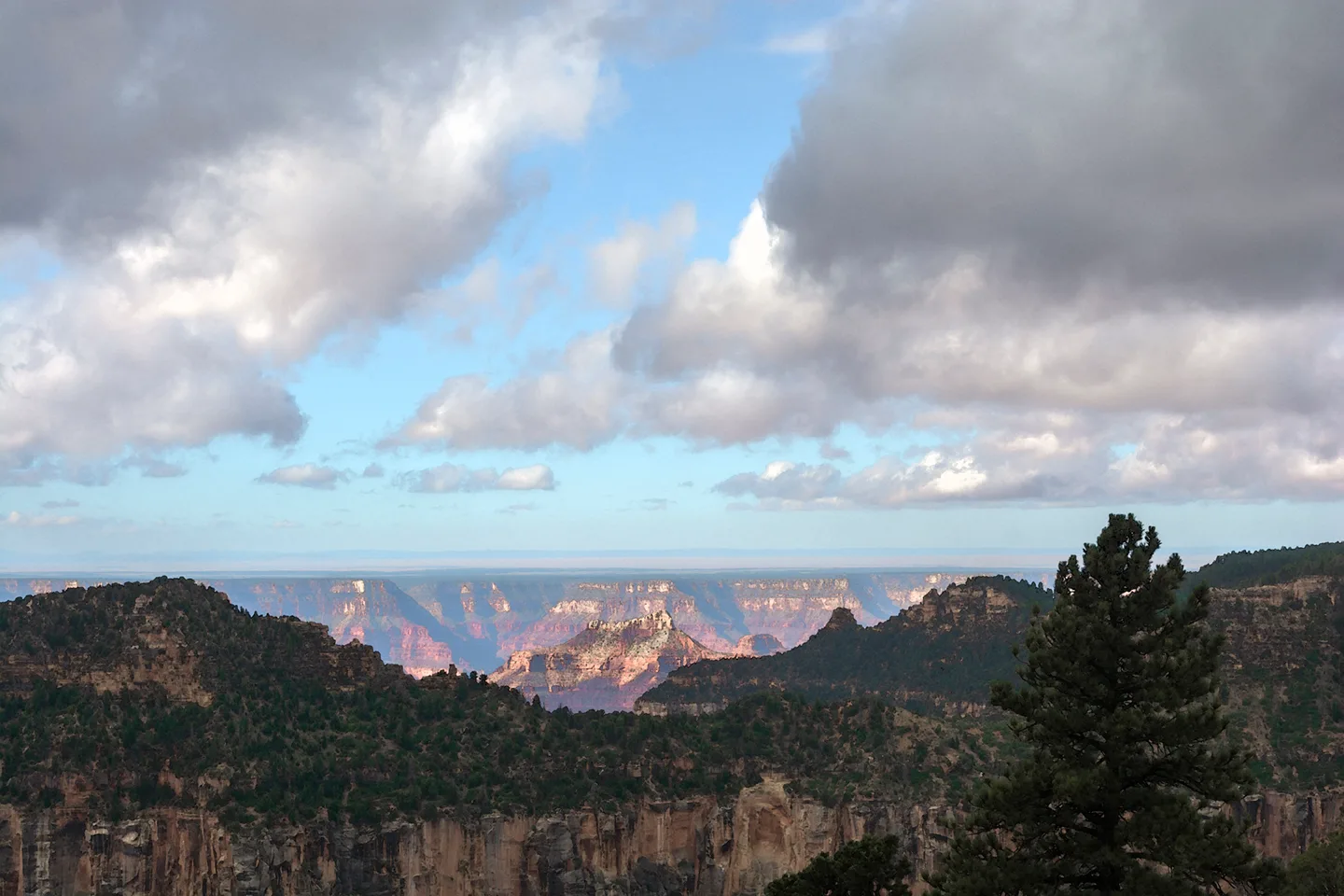 Northrim 12