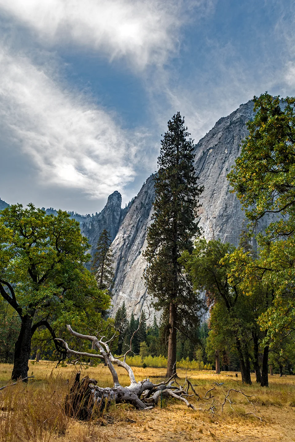 Yosemite 45