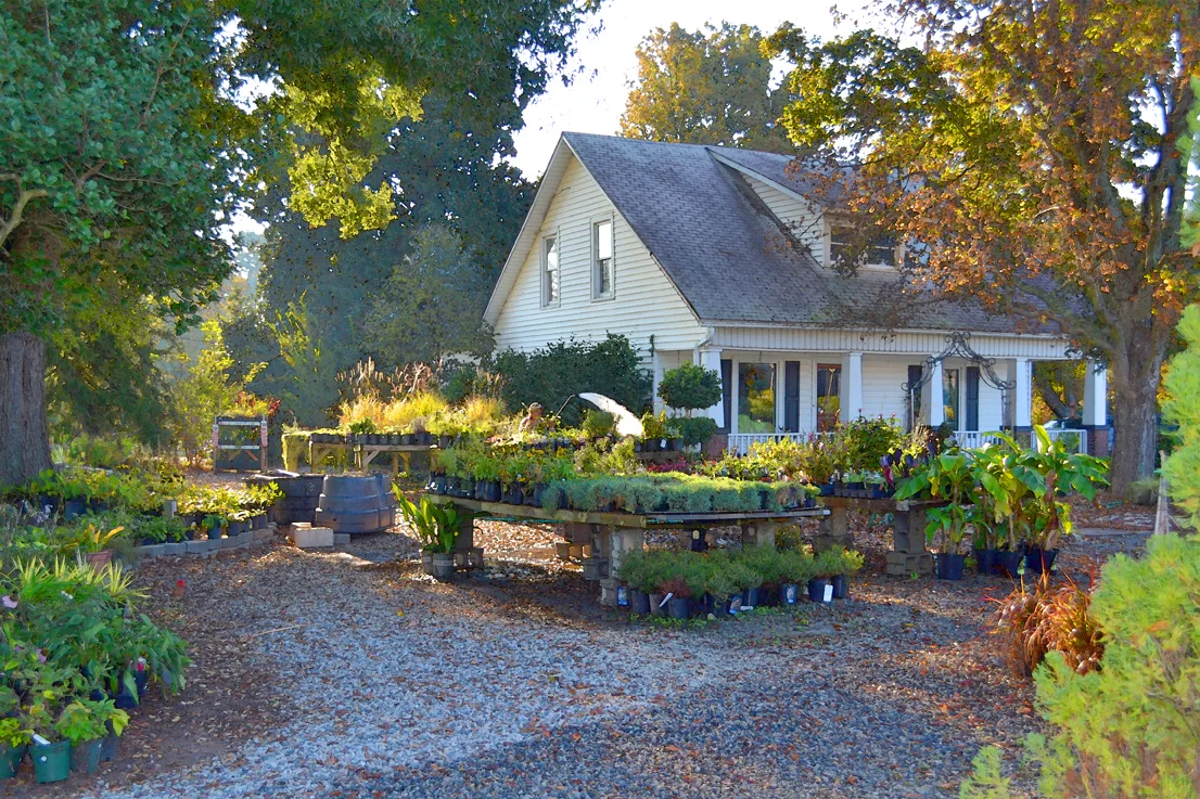 Godley House