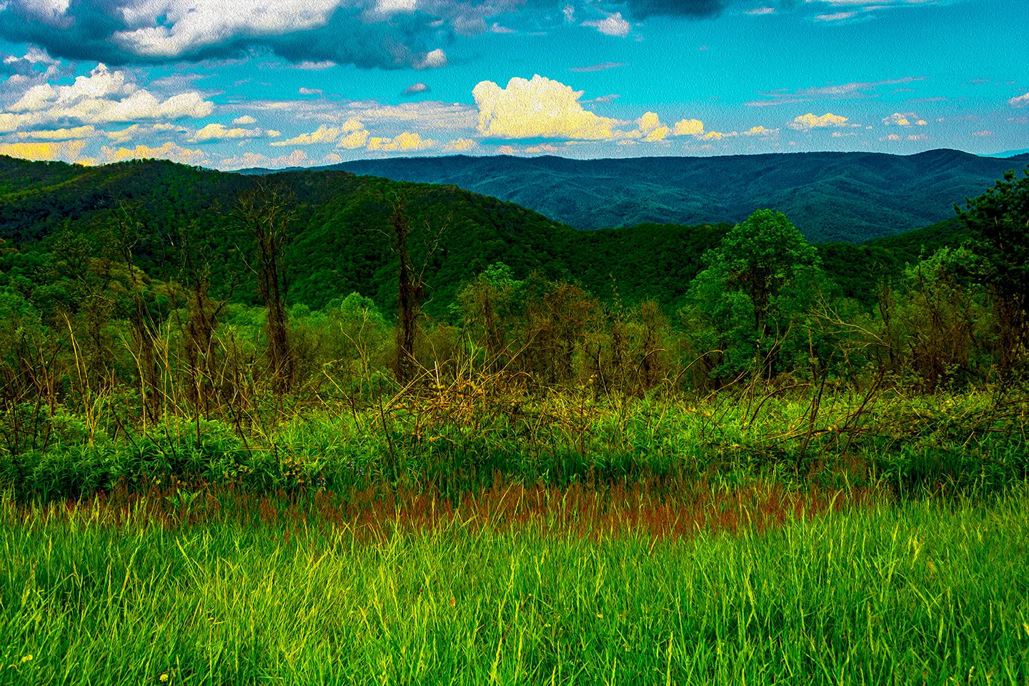 Blue Ridge 5