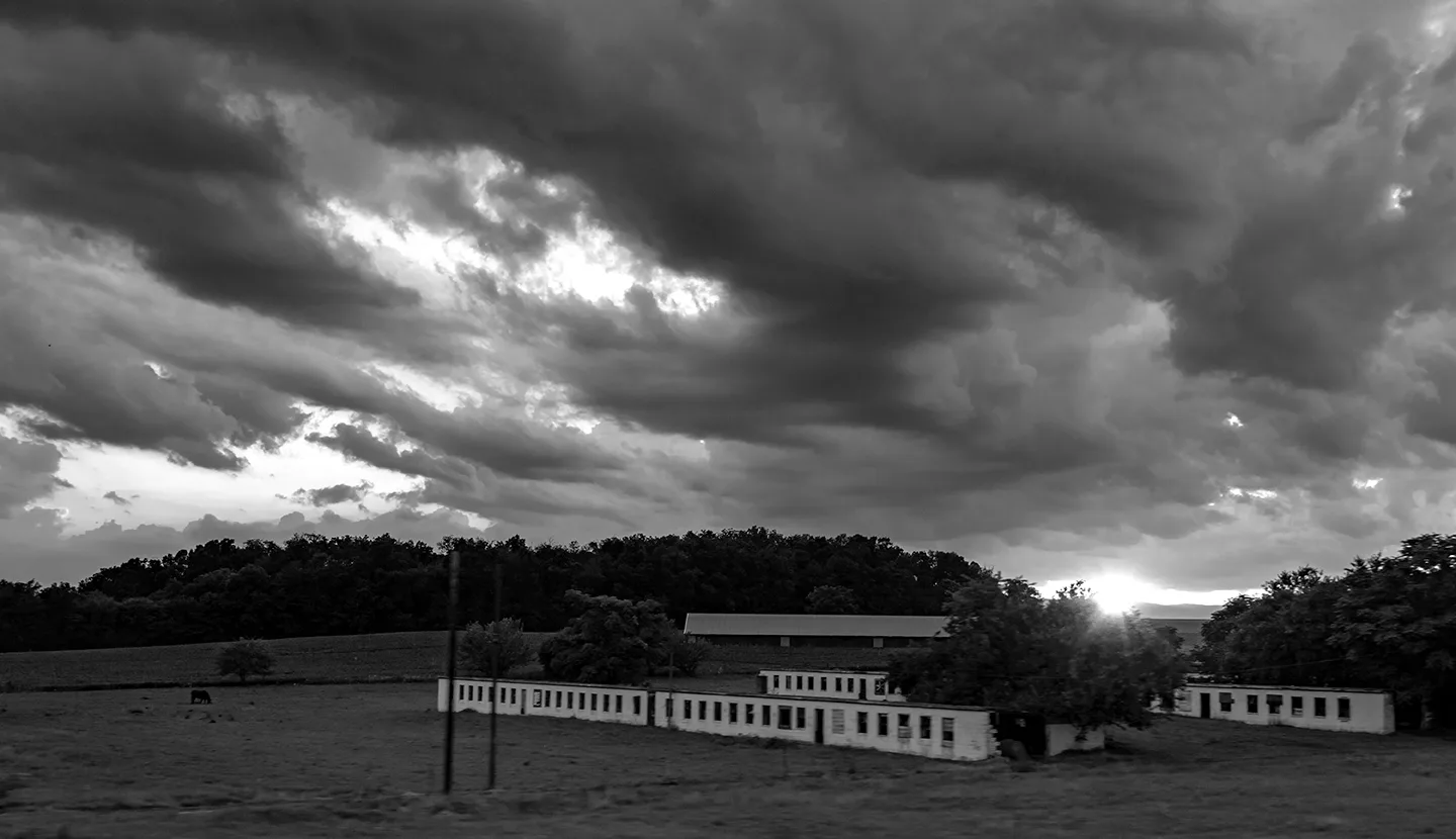 Cominghome 11 B&W