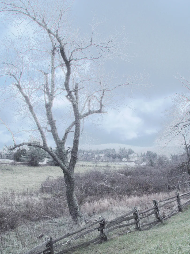 Blue Ridge 1 Fence