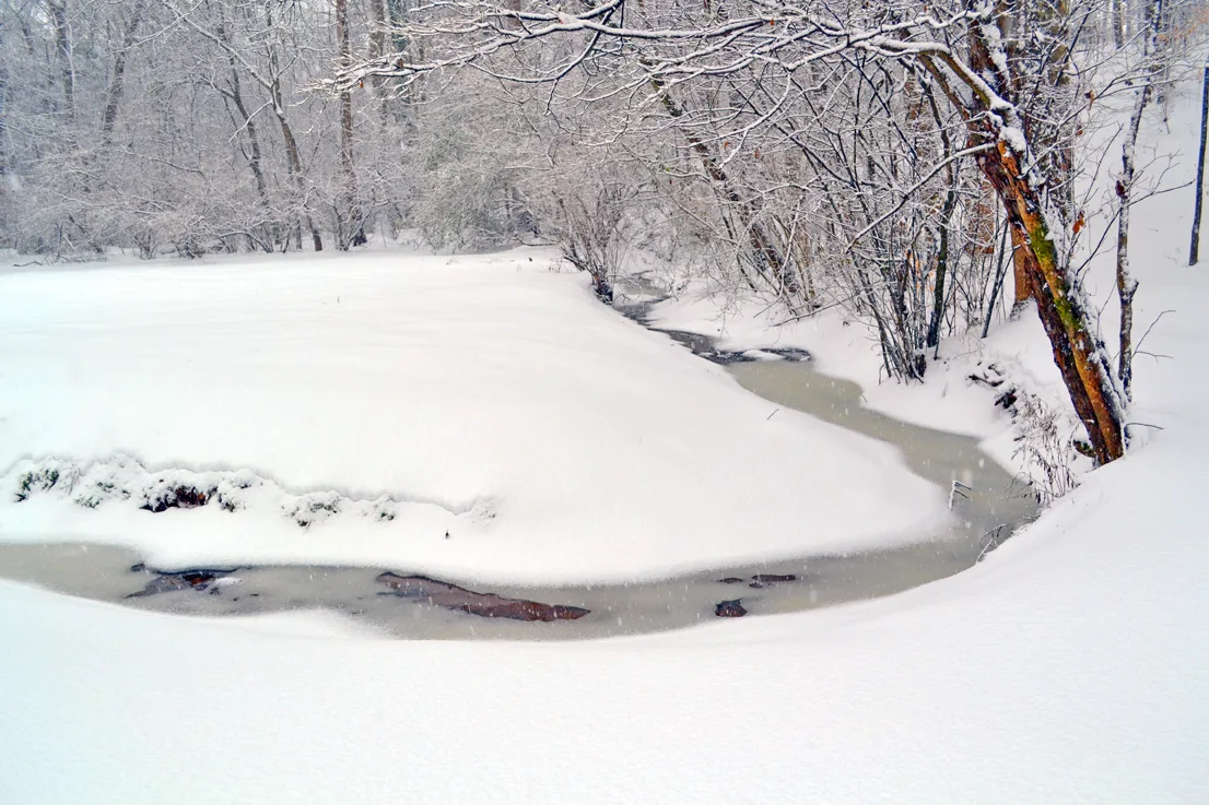 Yard Snow 3