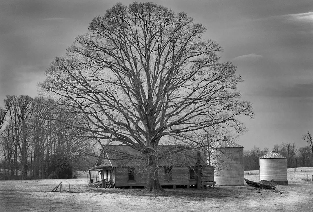 backCreekChRd 1 bw