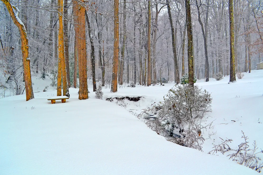 Yard Snow 5