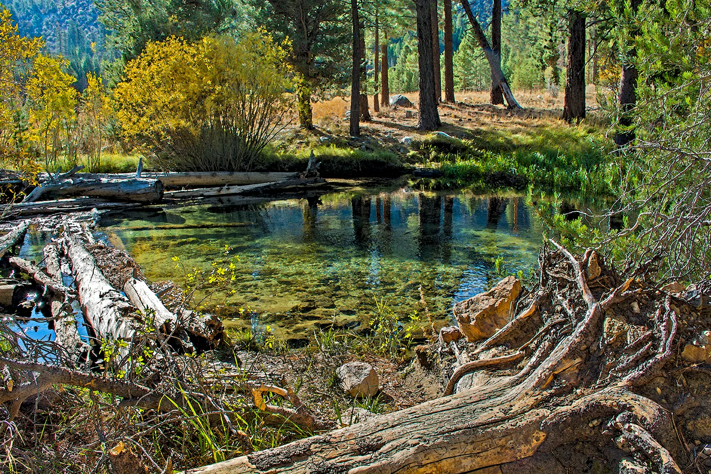 Yosemite 19