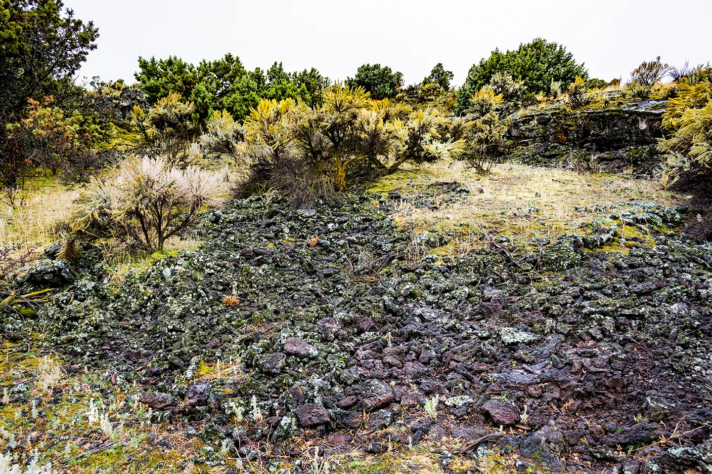 Idaholavafield 4