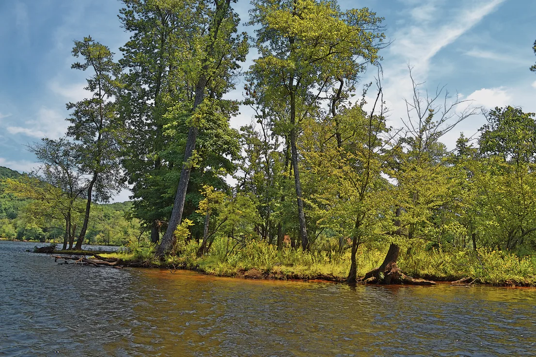 Yadkin-Peedee 24