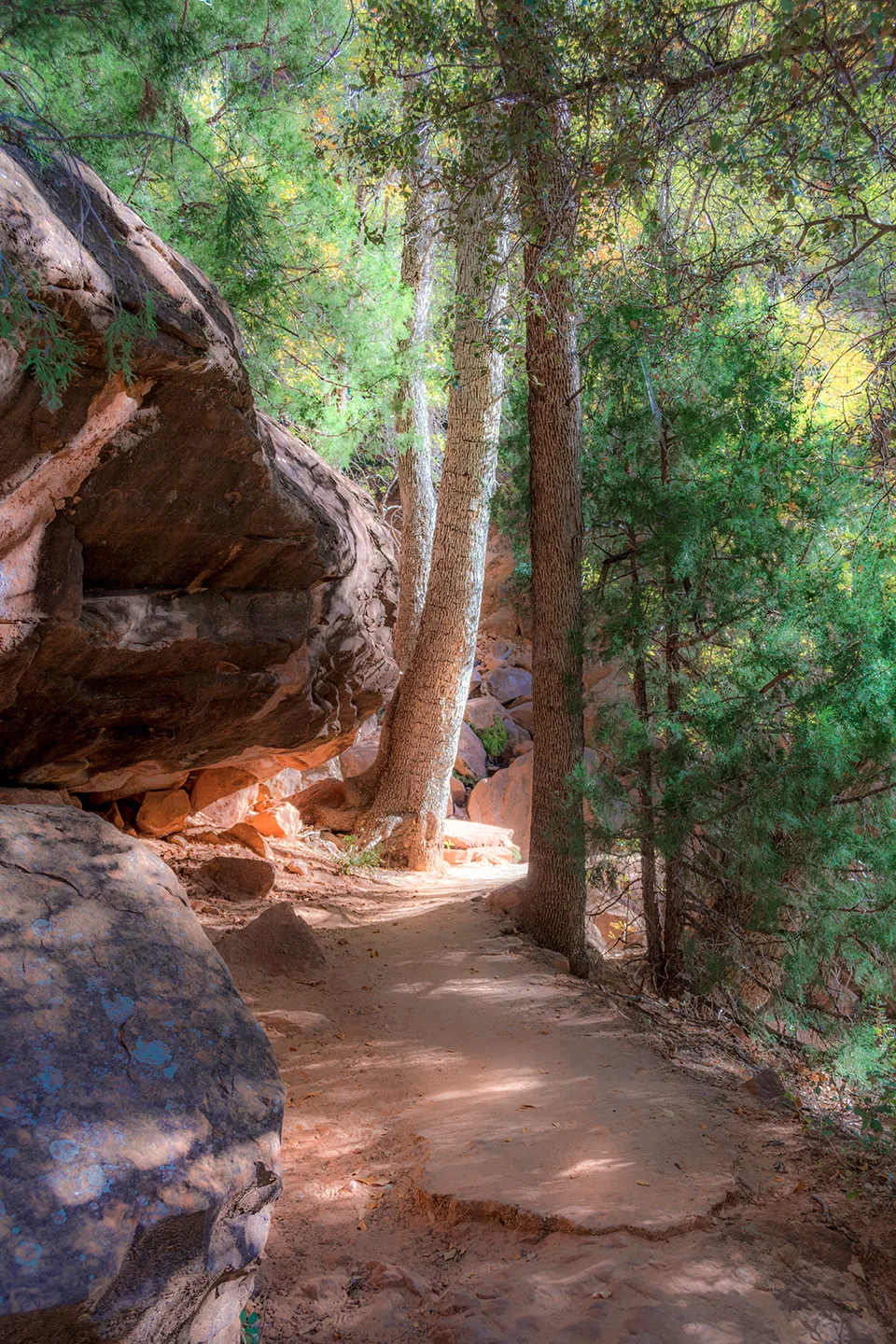 Zion 15