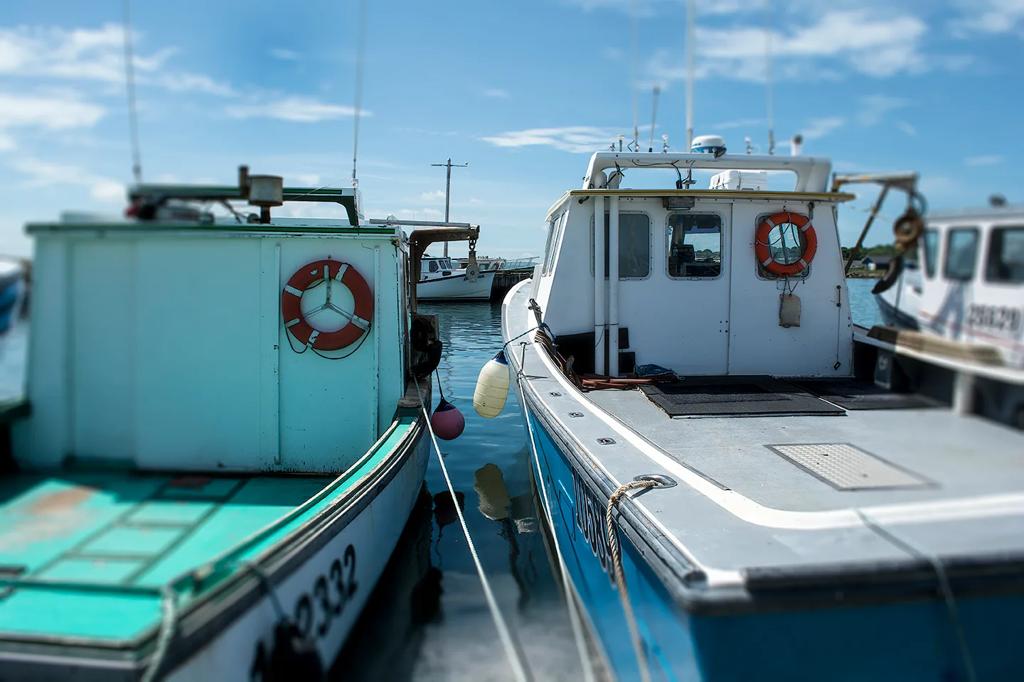 Northsidneyns 2