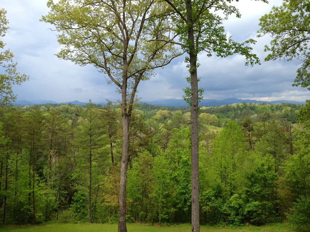 Venueview 2