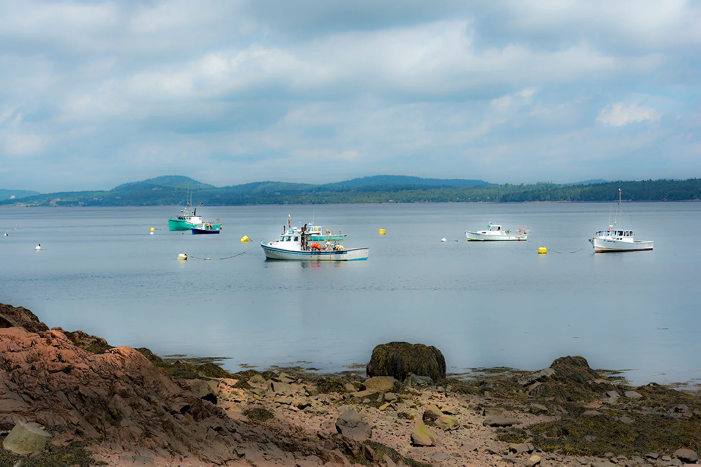 Maine 4