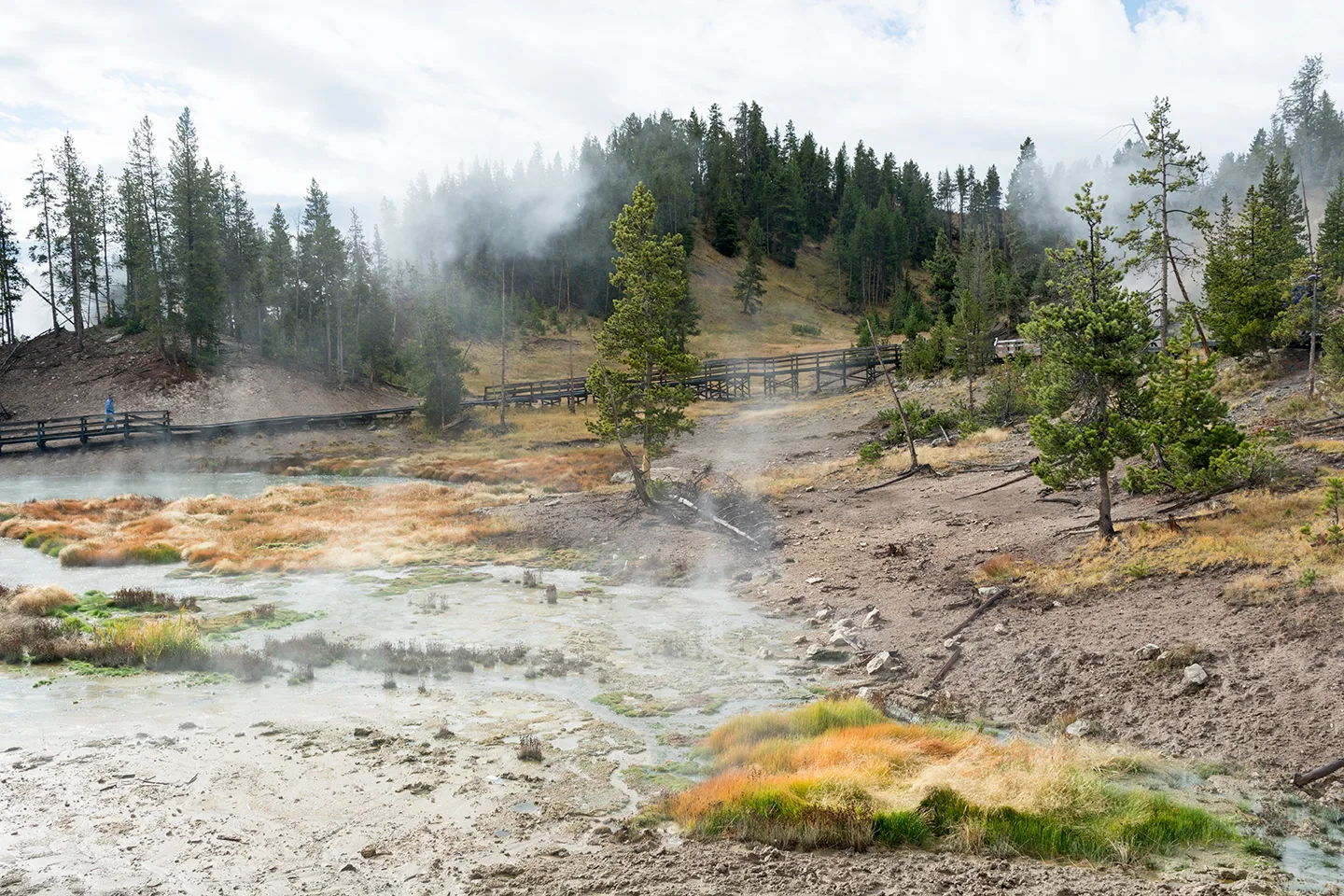 Yellowstone 40