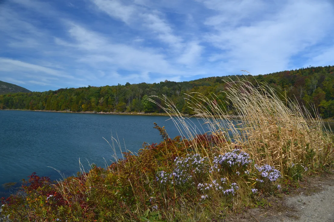 Acadia Pond 2