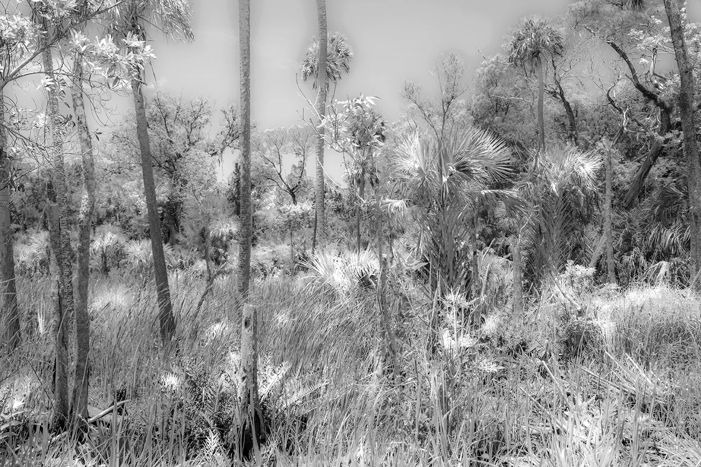Crystalriver 1 B&W