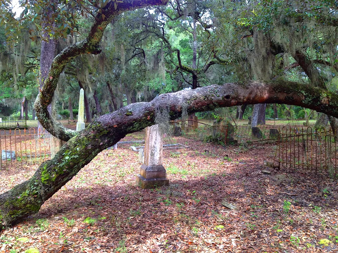 Graveyard 7