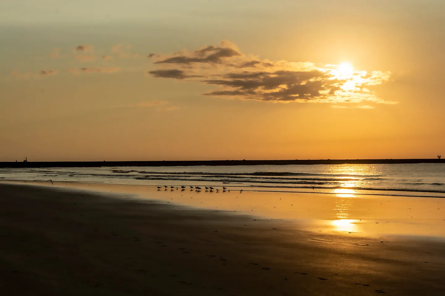 Sunrisehbsp 11