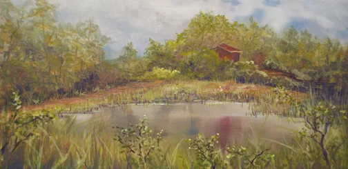 Pond