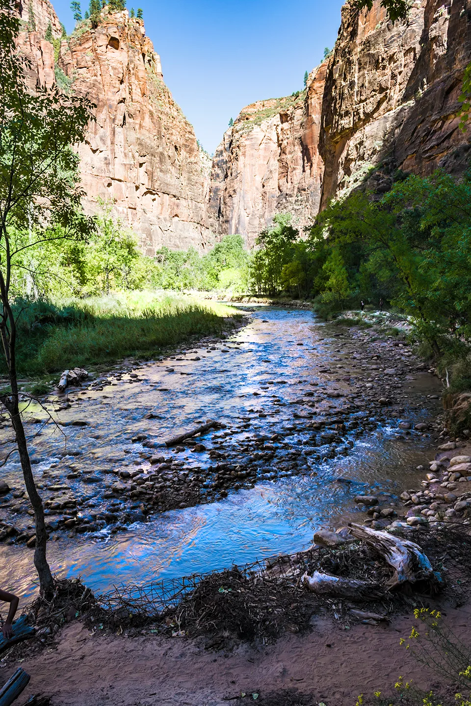 Zion 35