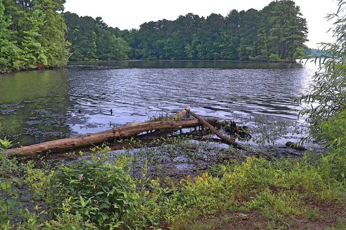 Rowan County 6