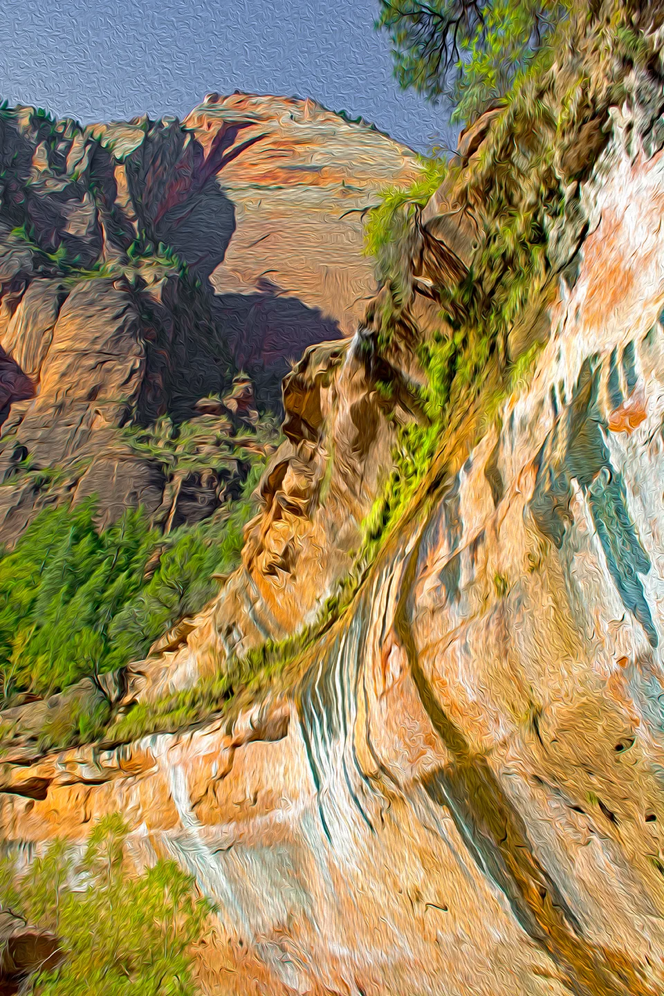 Zion 12