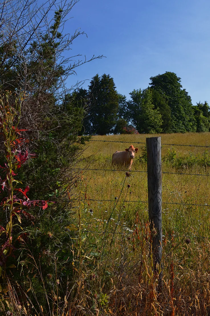 Sloan Rd 5