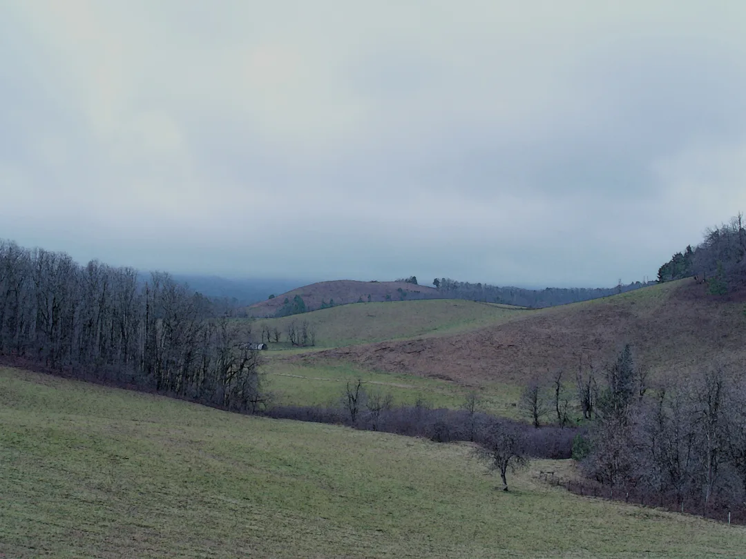 Blue Ridge 3 Field