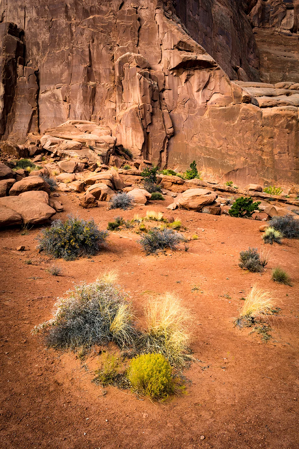 Arches 9